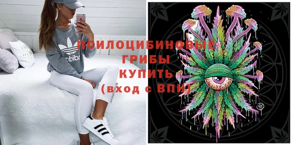 гидра Алзамай