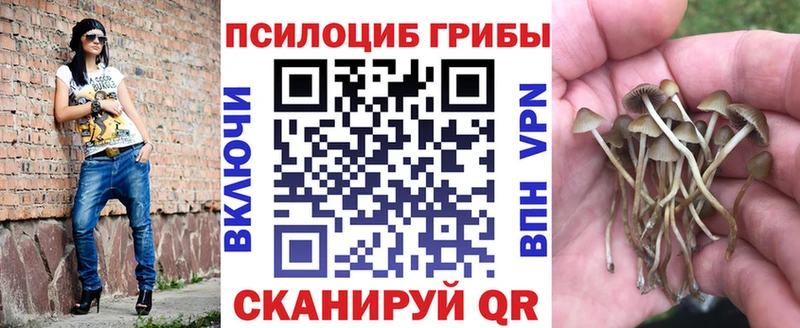 нарко площадка какой сайт  Ишим  Псилоцибиновые грибы Cubensis 